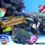 Tanti auguri di Buona Pasqua!